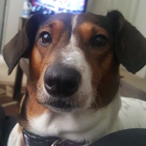 Meet your Posher, Alicia